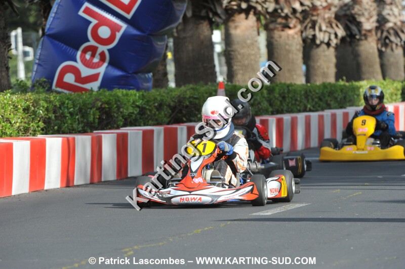 DSC_7646 (2).JPG
